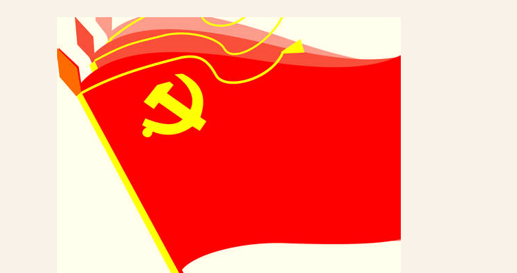 Stake宇达党支部换届选举大会隆重召开